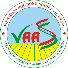 vaas