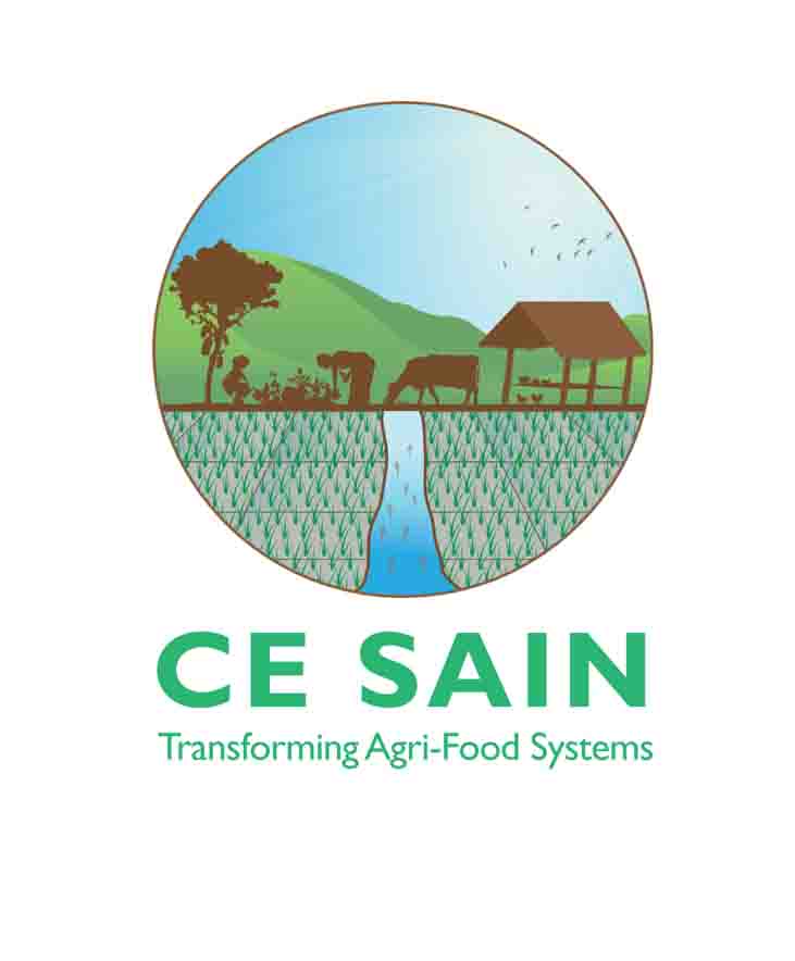ce-sain