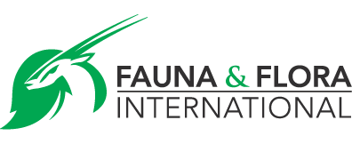 ffi