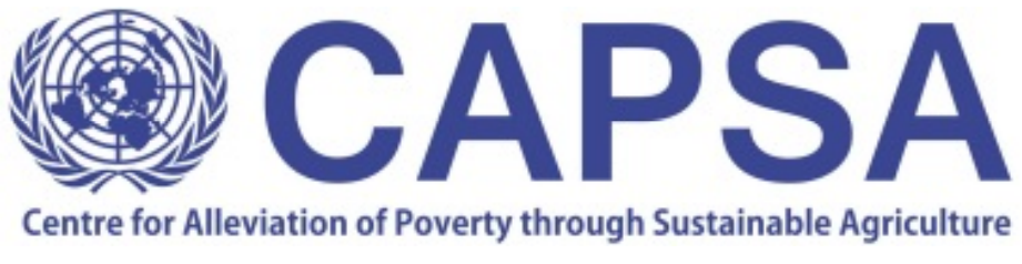 capsa