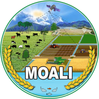 moali