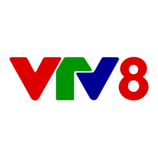 vietnam-television-center-central-and-central-highlands-region-vtv8